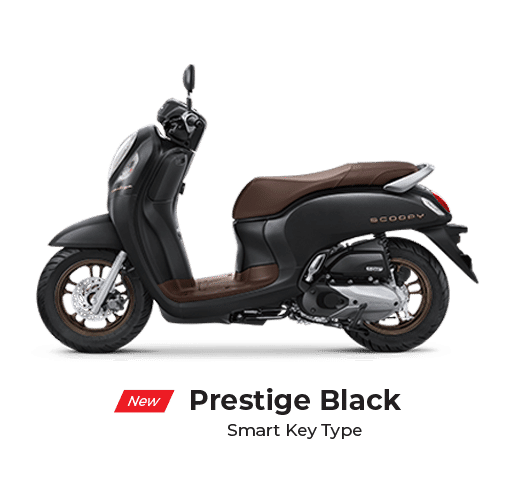 scoopy prestige black